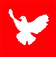 Kein Krieg im Irak!